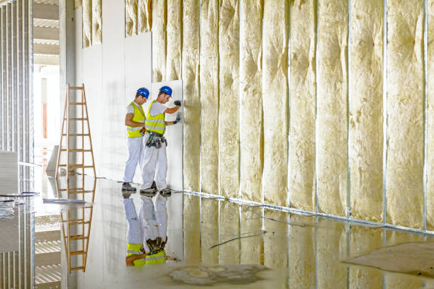 Best Commercial Insulation in Salem, AR
